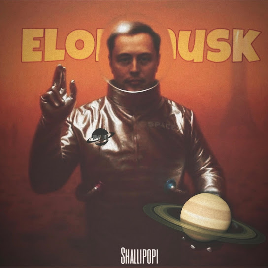 Shallipopi – Elon musk